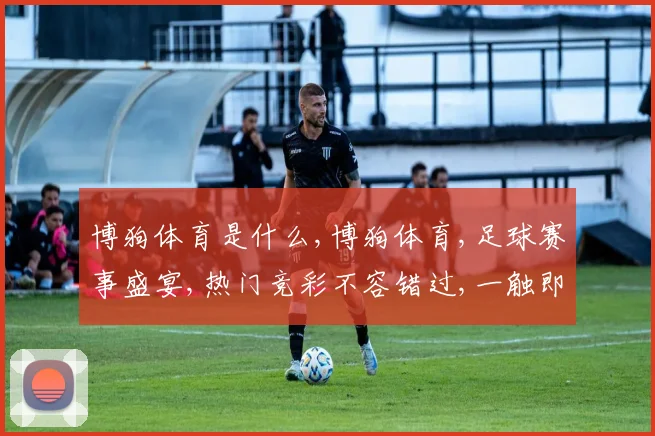 博狗体育是什么,博狗体育,足球赛事盛宴,热门竞彩不容错过,一触即达