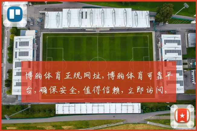 博狗体育正规网址,博狗体育可靠平台,确保安全,值得信赖,立即访问,享受体育盛宴。
