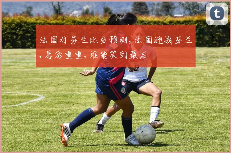法国对芬兰比分预测,法国迎战芬兰,悬念重重,谁能笑到最后
